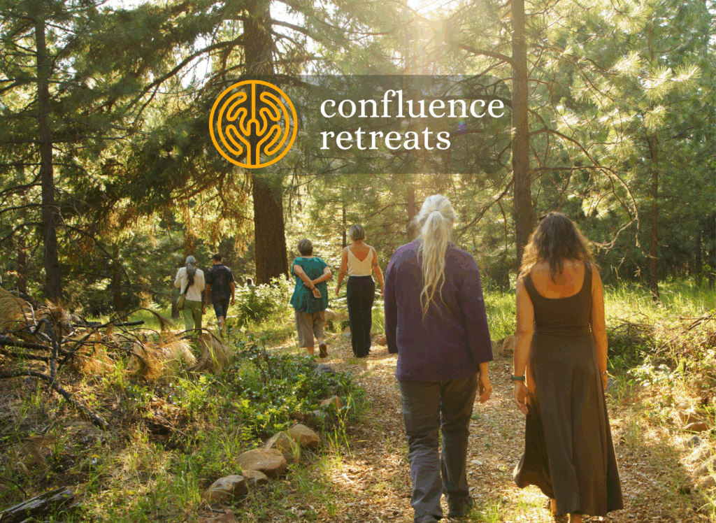 The programs featured image