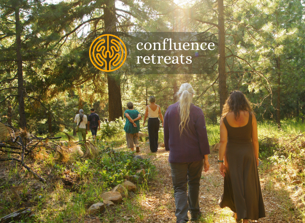 The programs featured image